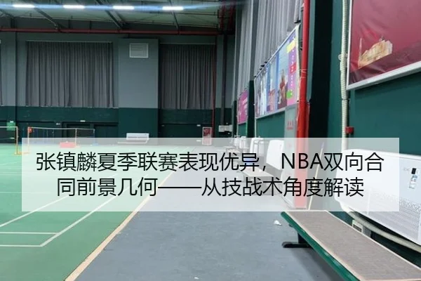 张镇麟夏季联赛表现优异，NBA双向合同前景几何——从技战术角度解读