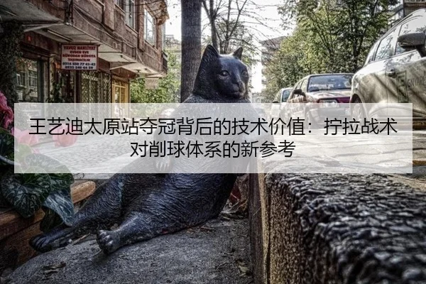 王艺迪太原站夺冠背后的技术价值：拧拉战术对削球体系的新参考